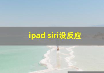 ipad siri没反应